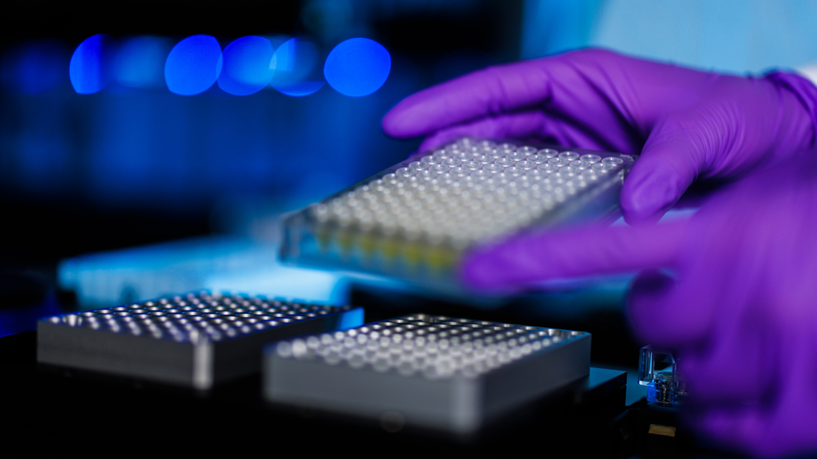 Für das Tumorprofiling aufbereitete Proben werden im Labor analysiert. 