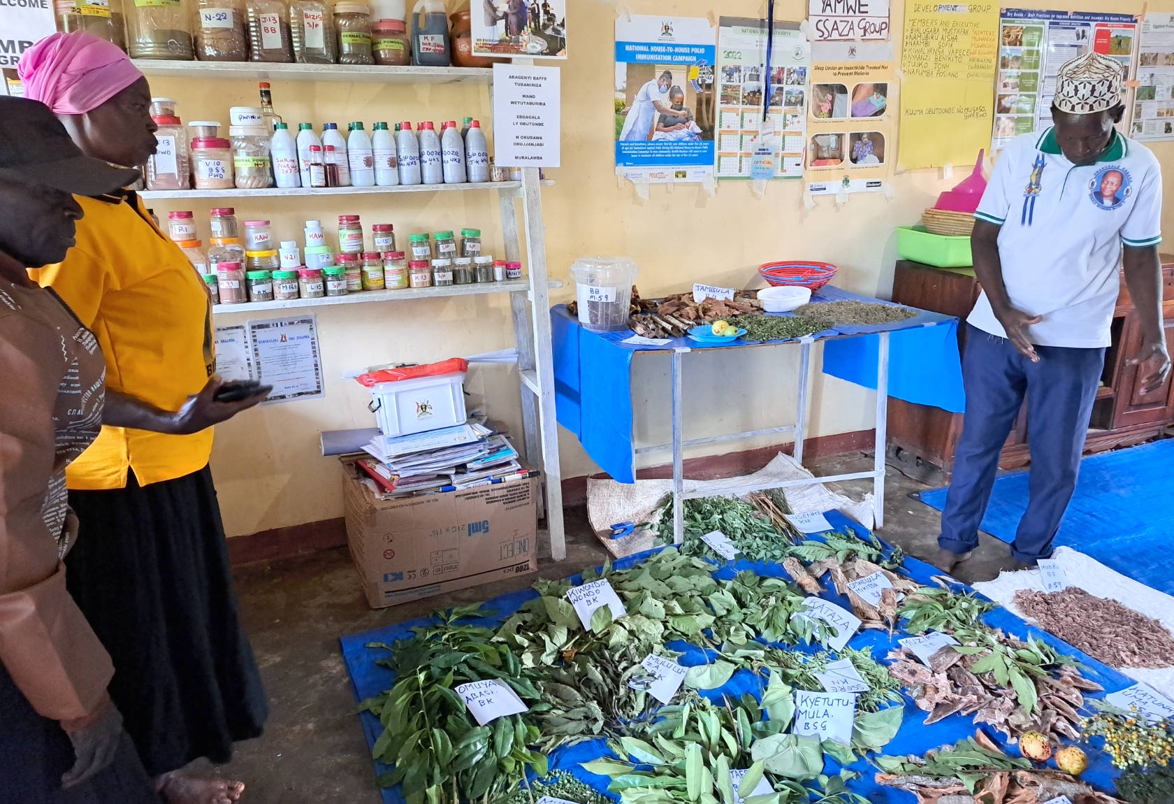 A medicinal herbalist explaining how different plants are used in a remote rural region. This is where medicinal healers work together, producing and selling products and receiving patients. They’ve laid out the plants with the name tags especially for the team of researchers.