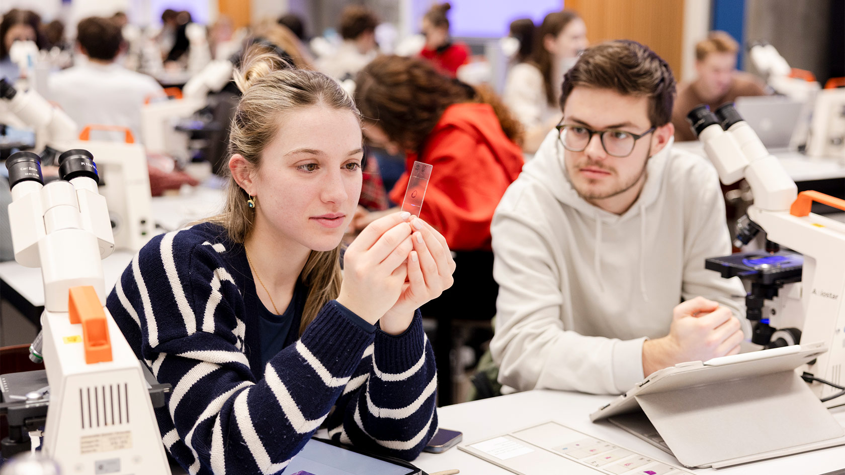 Students in a lab