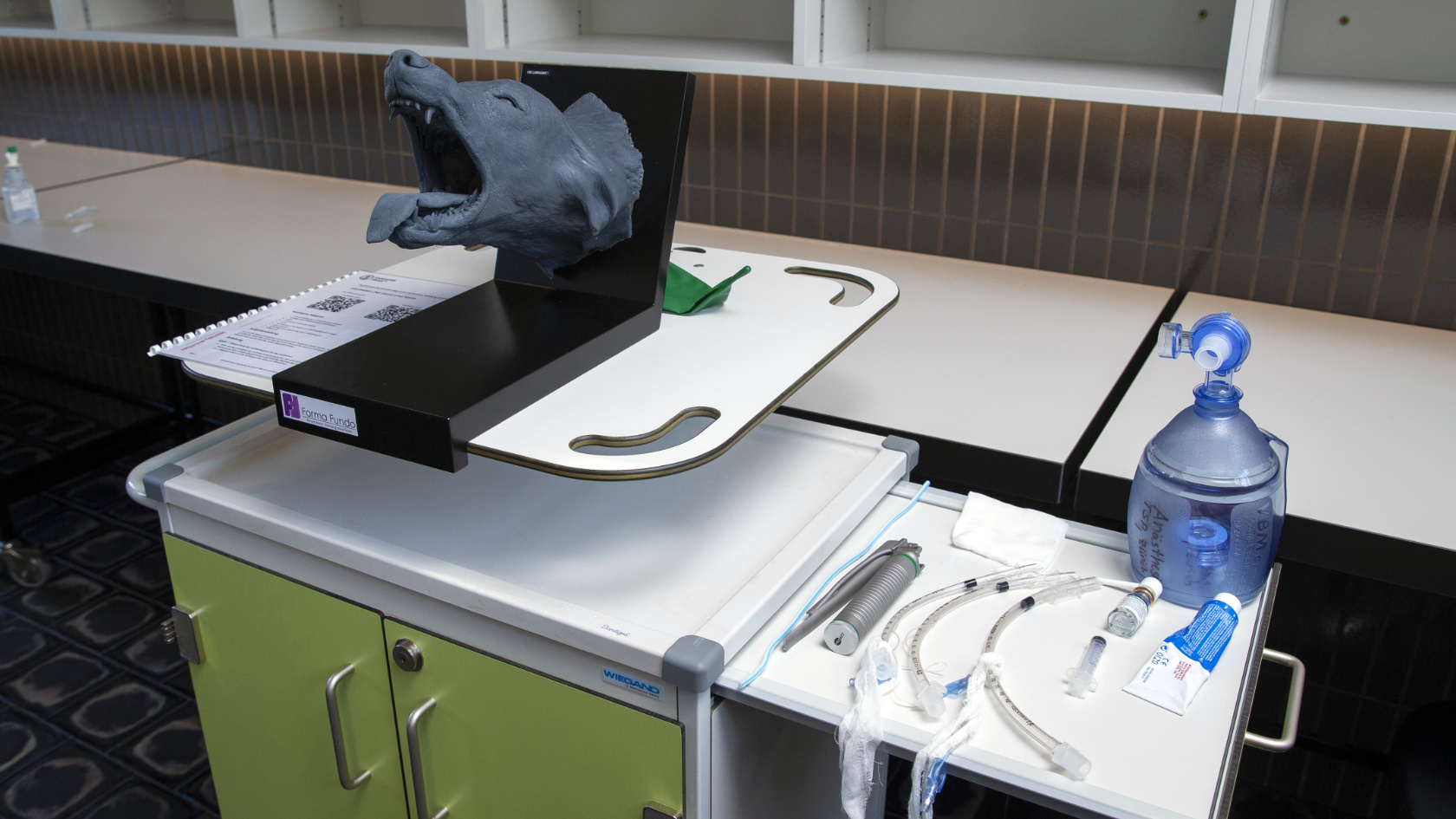 The image shows a realistic silicone dog head in the Skills Lab.