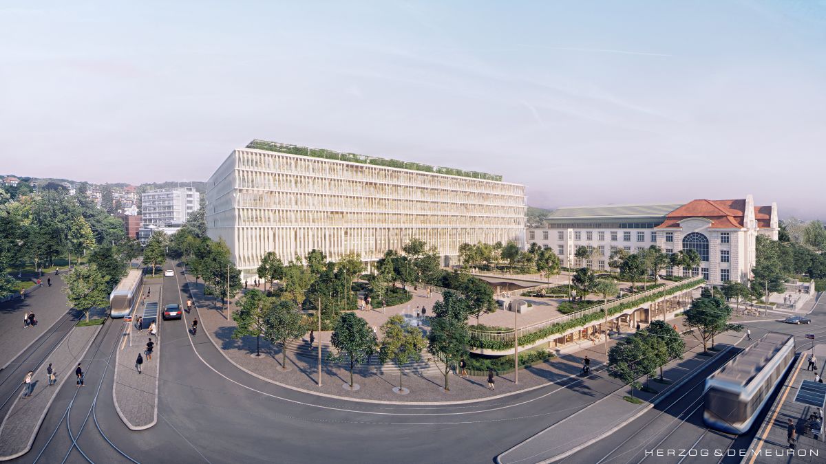 Blick vom Kollegiengebäude der UZH: Es entsteht ein zentraler Platz mit grossen Bäumen im Herzen des Hochschulquartiers. (Visualisierung: Herzog & de Meuron)