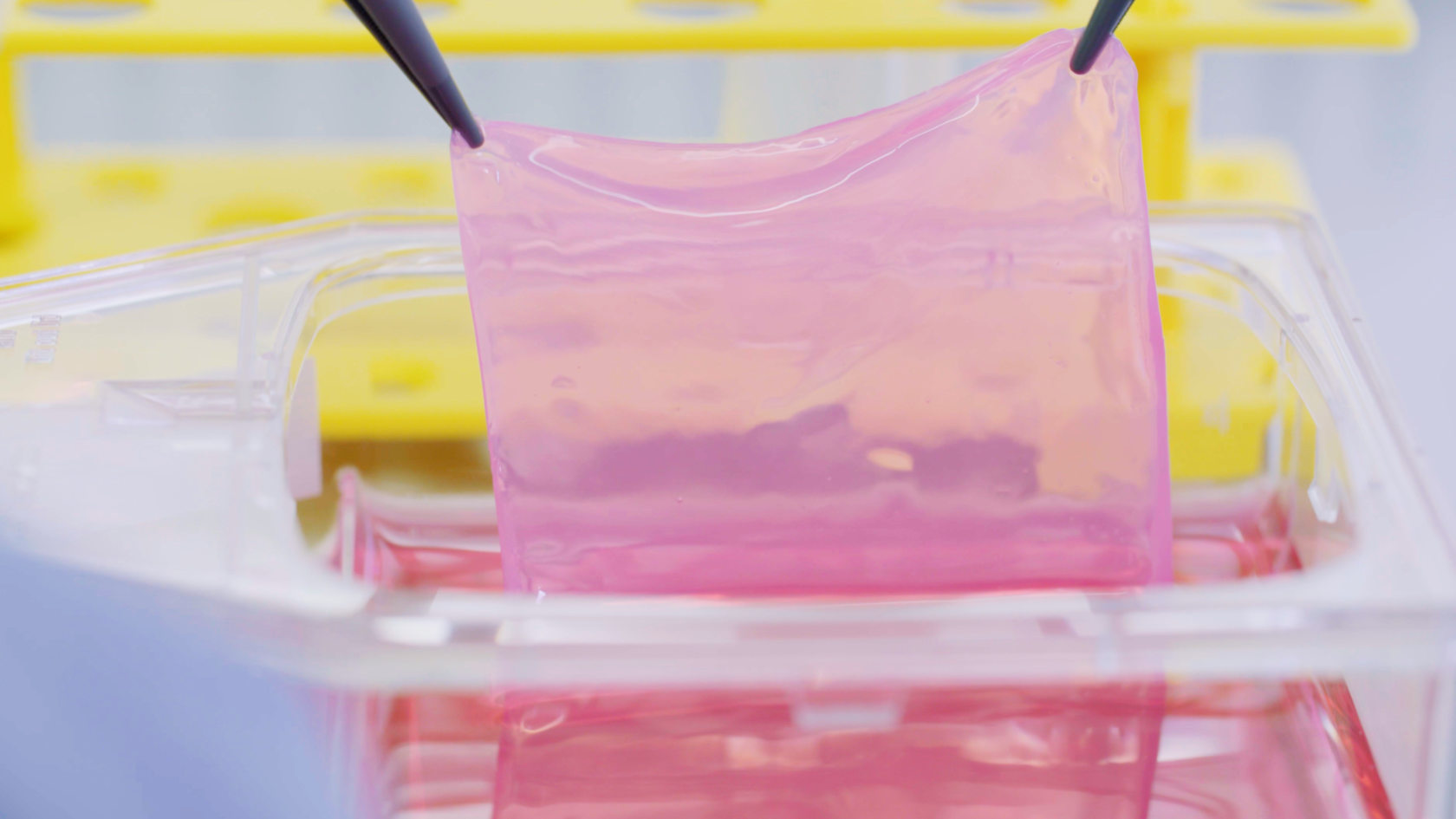 denovoskin sample in the laboratory