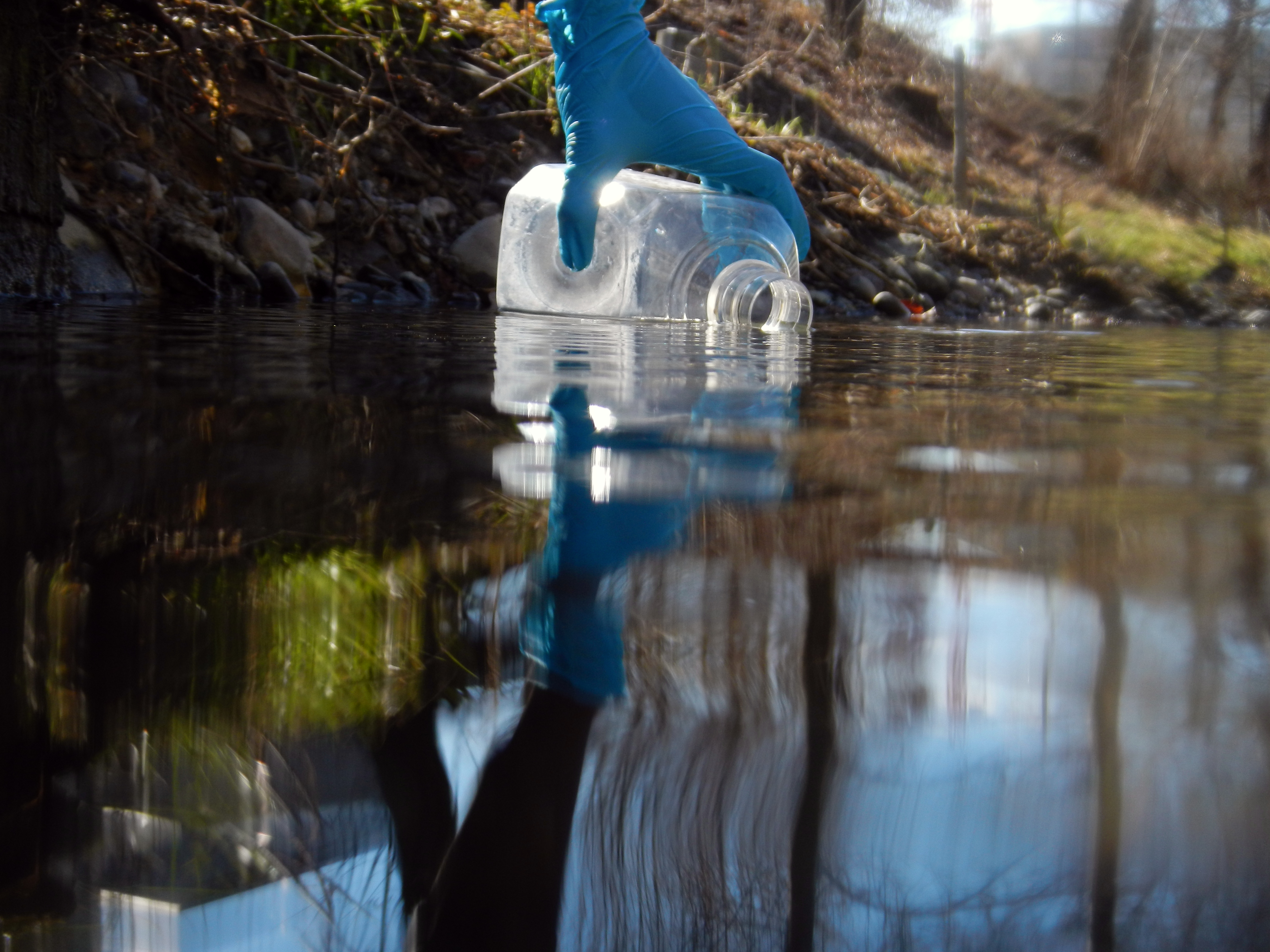 Entnahme einer Wasserprobe aus dem Chriesbach, Schweiz