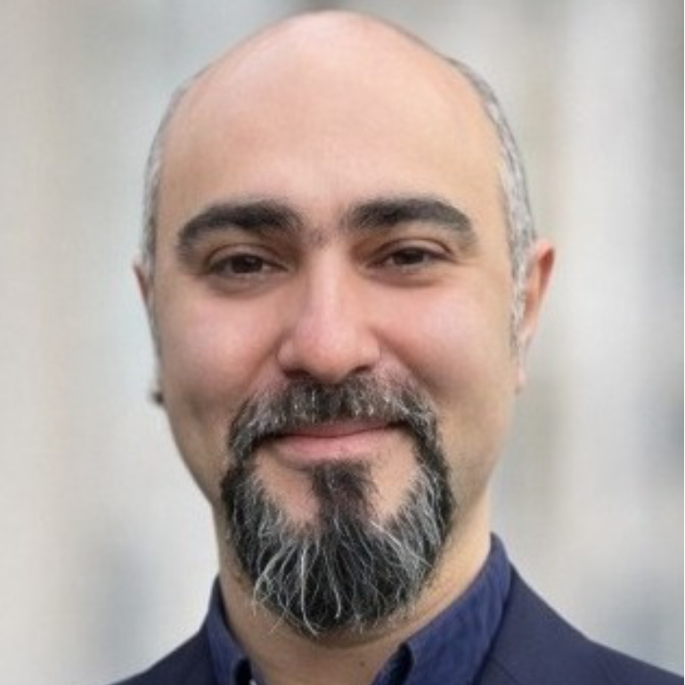 Portrait picture of Hassan Fazilaty