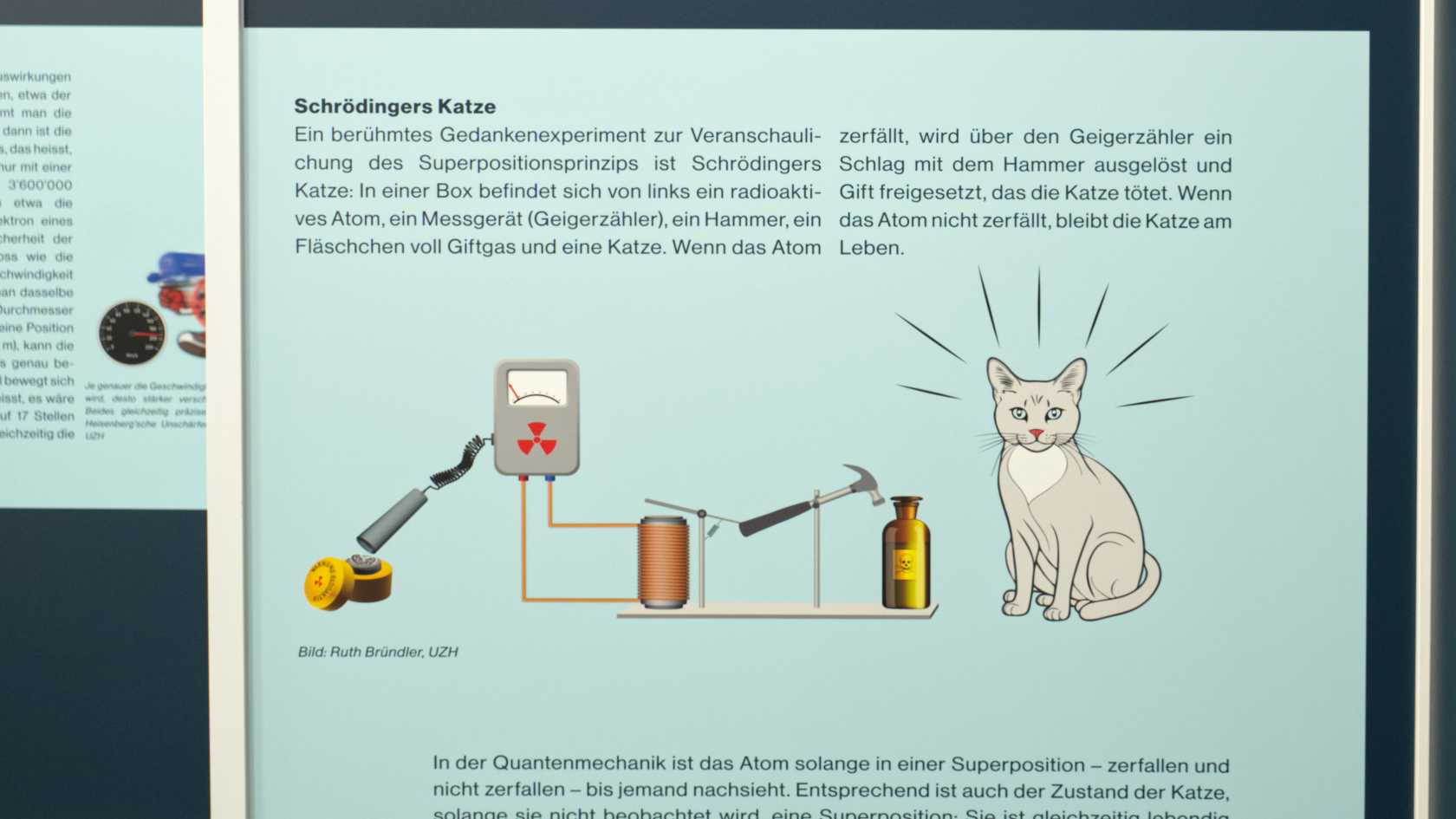 Graphic representation of the example of “Schrödinger's cat” in the “Quantum Science” exhibition.