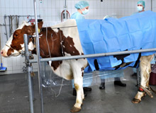 Forschung_IMGBroschüre_03